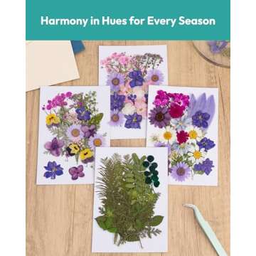 Resiners Dried Pressed Flowers Kit for Crafts and Scrapbooking