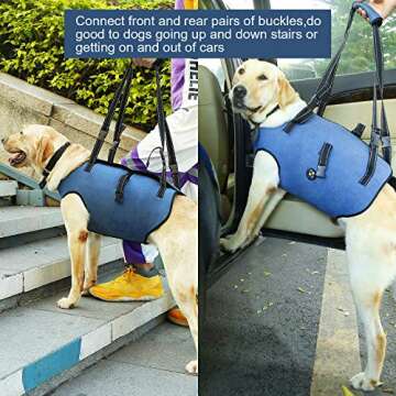 Coodeo Adjustable Dog Lift Harness for Mobility Support