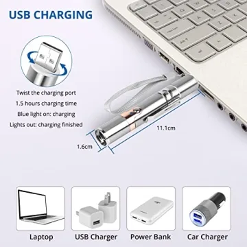 Rechargeable Cat Toys with Adjustable Laser Patterns