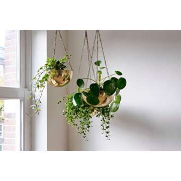 Boho Chic Gold Hanging Planters - Set of 3 Decor