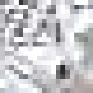 Chic and Versatile Sexy Mini Shirt Dress for Women - Perfect Casual Wear!