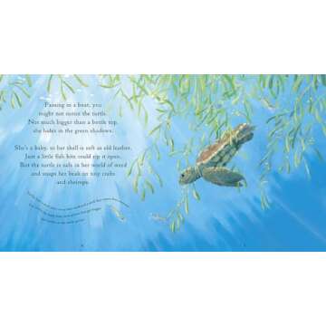 One Tiny Turtle: Read and Wonder
