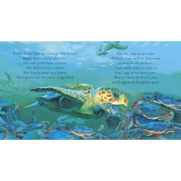 One Tiny Turtle: Read and Wonder