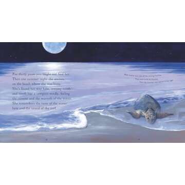 One Tiny Turtle: Read and Wonder