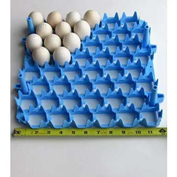 Universal Chicken Egg Trays (6 pack)