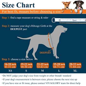 VIVAGLORY Lightweight Dog Life Jacket, Pet Life Preserver Life Vest Skin-Friendly Neoprene for Medium Dogs with D-Ring and Quick Release Buckle, Pink