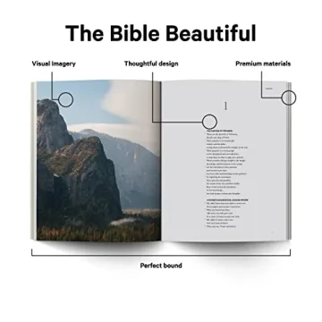 Book of Proverbs Alabaster Bible Stunning Gift for All Occasions