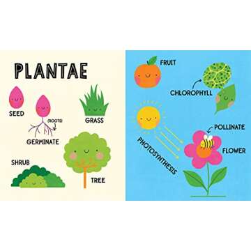 My First 100 Nature Words: An Engaging STEM Board Book for Early Learners