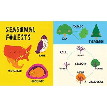 My First 100 Nature Words: A STEM Board Book for Kids