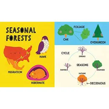 My First 100 Nature Words: A STEM Board Book for Kids