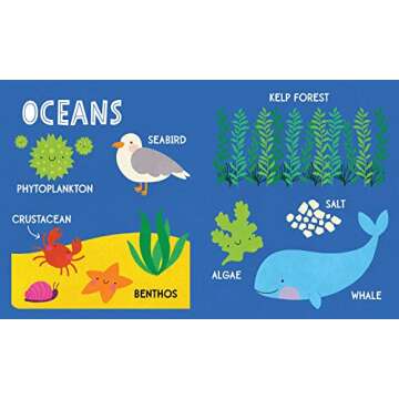 My First 100 Nature Words: A STEM Board Book for Kids