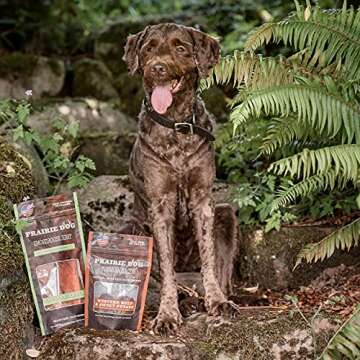 Prairie Dog Chicken & Sweet Potato Sausages 16Oz - Healthy Dog Treats
