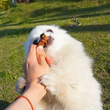 Healthy Chicken Wrapped Dog Chews for Small Breeds