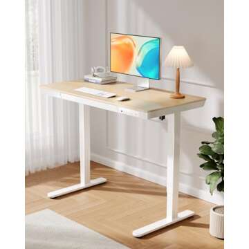 ErGear 48" Electric Standing Desk with USB Charging