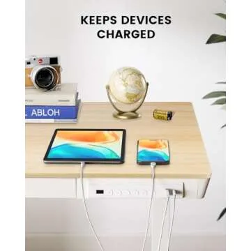 ErGear 48" Electric Standing Desk with USB Charging