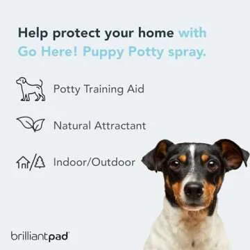 BrilliantPad Go Here! Puppy Potty Training Spray | Natural Attractant, Dog & Puppy Home Housebreaking Aid for Pets | Safe for Animals, Furniture & Plants | Use on Pee Pads Indoor & Outdoor | 4oz