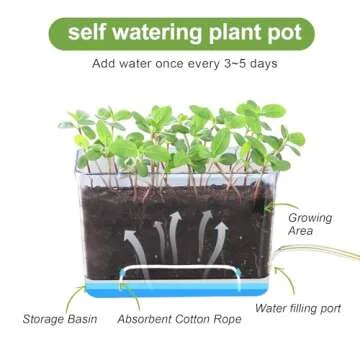Self Watering Planter 2 Pack for Easy Indoor Gardening