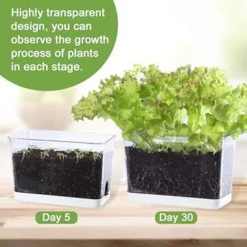 Self Watering Planter 2 Pack for Easy Indoor Gardening