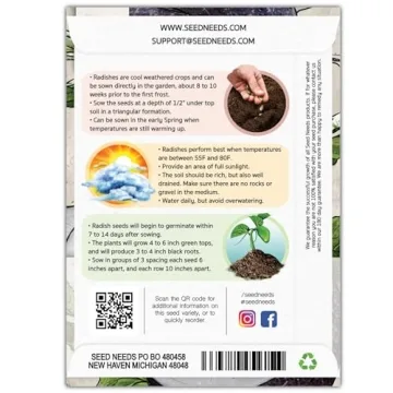 Seed Needs Black Spanish Radish Seeds for Planting