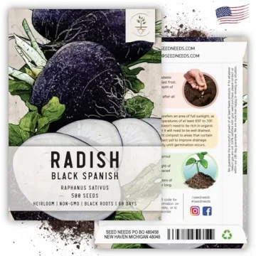 Seed Needs Black Spanish Radish Seeds for Planting