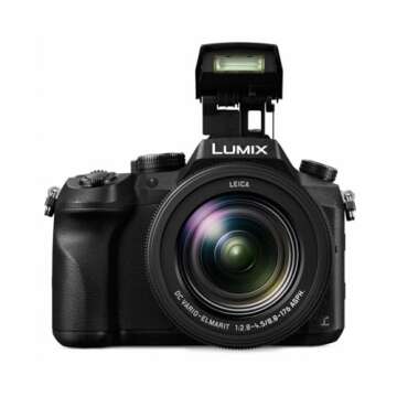 Panasonic LUMIX FZ2500: 4K Camera with 20X LEICA Lens