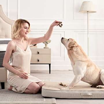 Orthopedic Dog Bed with Removable Washable Cover, Gel Memory Foam and Sponge 2-Layer, Pet Beds with Waterproof Lining and Anti-Slip Bottom for Medium Dogs