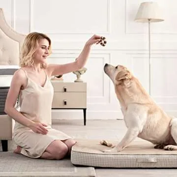 Orthopedic Dog Bed with Removable Washable Cover, Gel Memory Foam and Sponge 2-Layer, Pet Beds with Waterproof Lining and Anti-Slip Bottom for Medium Dogs