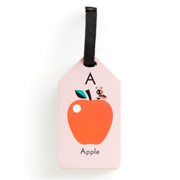 Mudpuppy My ABC's Ring Flashcards for Kids' Learning