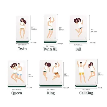 ZINUS 13" Euro Top Hybrid Mattress - Comfort & Support