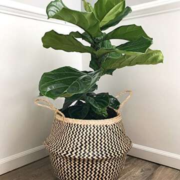 Natural Craft Seagrass Plant Basket for Storage Size (14x14x13 inches) - Style: Black Zigzag, Laundr...