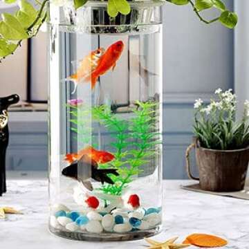 Clear Glass Cylinder Vases for Weddings & Events - 6 Pack