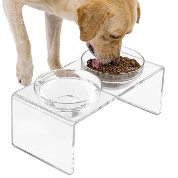 Acrylic Elevated Dog Cat Bowls Pet Feeder Double Bowl Raised Stand Comes with 2 Removable Glass Bowl...
