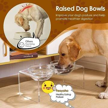 Acrylic Elevated Dog Cat Bowls Pet Feeder Double Bowl Raised Stand Comes with 2 Removable Glass Bowls and 2 Stainless Steel Bowls.Perfect for Large Dogs, 7.2" Tall