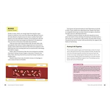 Explore How Does My Body Work? Fun Human Body Book