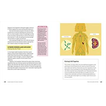 Explore How Does My Body Work? Fun Human Body Book