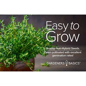 Gardeners Basics, Thyme Seeds for Planting is A Heirloom, Non-GMO Herb Variety- Thymus Vulgaris Herb Seeds Great for Indoor and Outdoor Gardening
