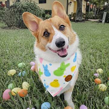Crowned Beauty Easter Dog Bandanas Large 2 Pack, Colorful Bunnies Eggs Set, Floral Stripe Adjustable Triangle Holiday Plaid Reversible Scarves for Medium Large Extra Large Dogs Pets