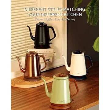 DmofwHi Gooseneck Electric Kettle - 1.0L & 1000W Performance