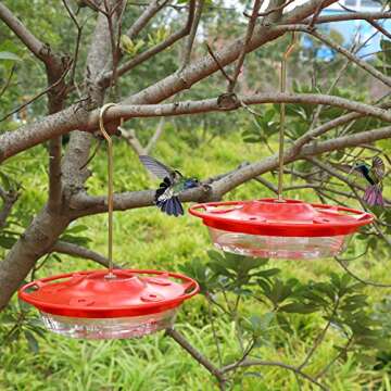 Juegoal 12 oz Hummingbird Feeder with 12 Port Access