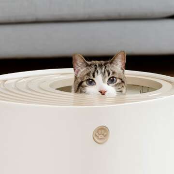 Large Round Top Entry Cat Litter Box for Stylish Spaces