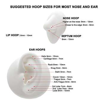 FANSING G23 Titanium Nose Rings for Men Septum Clicker 16g Lip Rings Rose Gold Plated Labret Jewelry 16 Gauge Conch Earrings Hoop 14mm Cartilage Earring Hoop Helix Lobe Piercing For Women