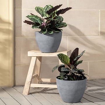 Lightweight LA JOLIE MUSE Planters for Indoor Outdoor Use