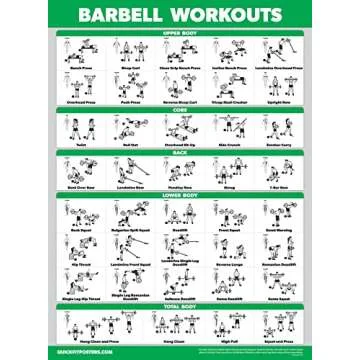 Palace Learning 4 Pack - Dumbbell Workouts + Barbell Workouts + Bodyweight Workouts + Muscle - Set of 4 Workout Charts (18” x 24”, LAMINATED)