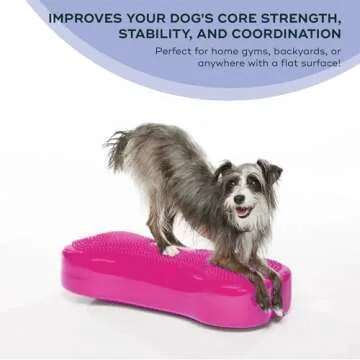 FitPAWS® K9FITbone® - Regular, Razzleberry | Dog Balance Training Platform & Exercise Equipment | Workout Tool for Strength, Core & Stability