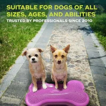 FitPAWS® K9FITbone® - Regular, Razzleberry | Dog Balance Training Platform & Exercise Equipment | Workout Tool for Strength, Core & Stability