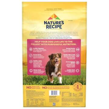 Nature's Recipe Salmon & Sweet Potato Dry Dog Food 24 lb
