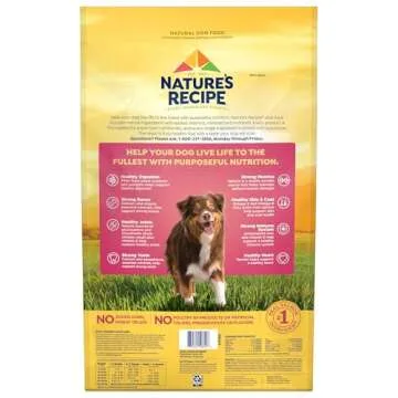 Nature's Recipe Salmon & Sweet Potato Dry Dog Food 24 lb