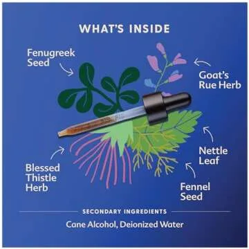 Motherlove More Milk Special Blend Lactation Support