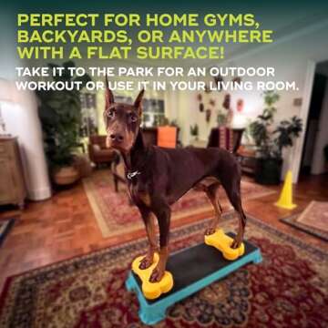 FitPAWS K9FITbone Mini - Enhance Dog Strength & Balance