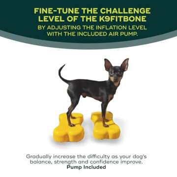 FitPAWS K9FITbone Mini - Enhance Dog Strength & Balance